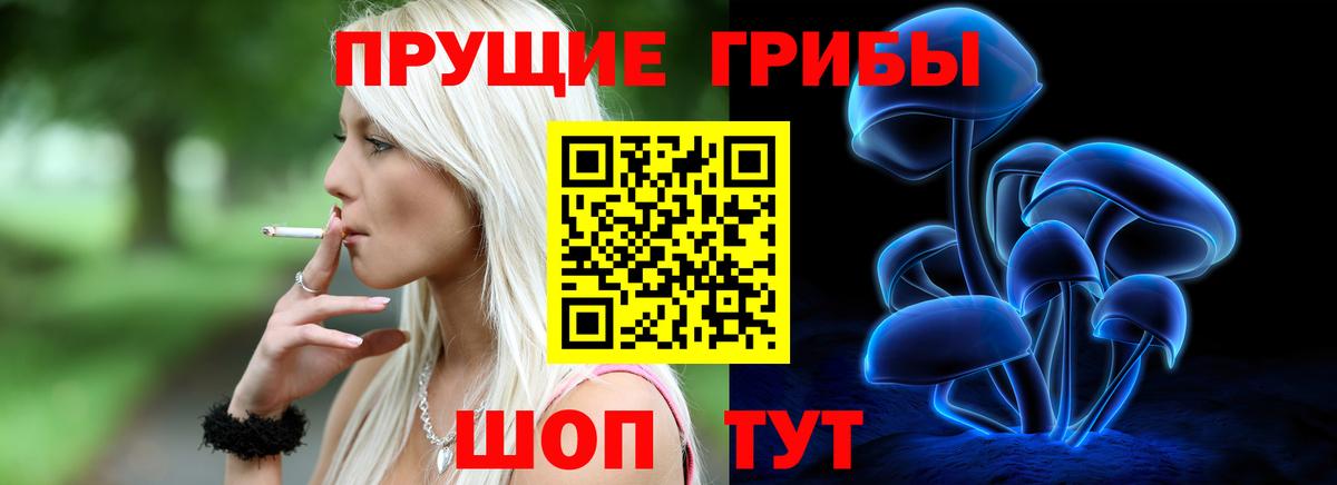 Псилоцибиновые грибы мицелий Октябрьский